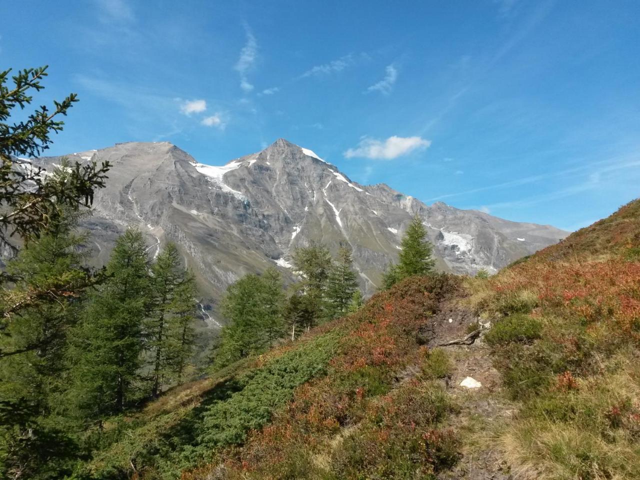 Apart-Pension Oberreiter Fusch an der Grossglocknerstrasse 외부 사진